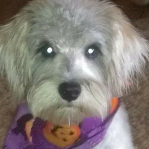 Meet your Posher, Sandra